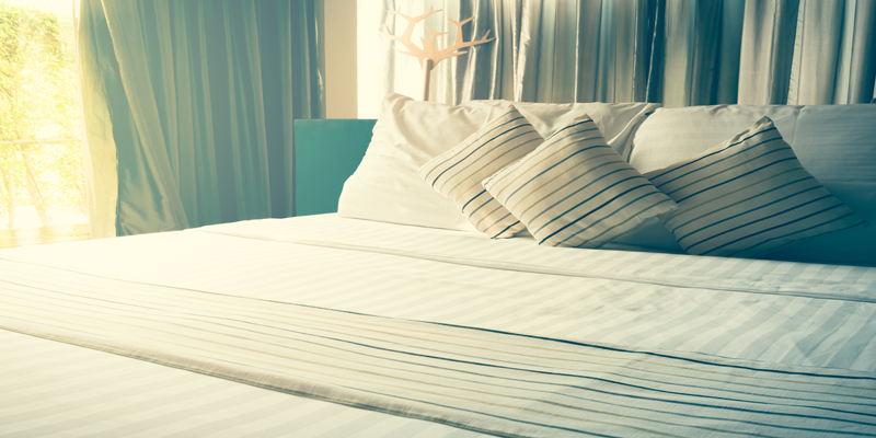 You are currently viewing Part I: Answers to Common Bedbugs Question