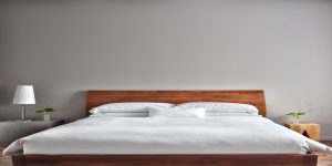 Read more about the article Part II Answers to Common Bedbugs Question