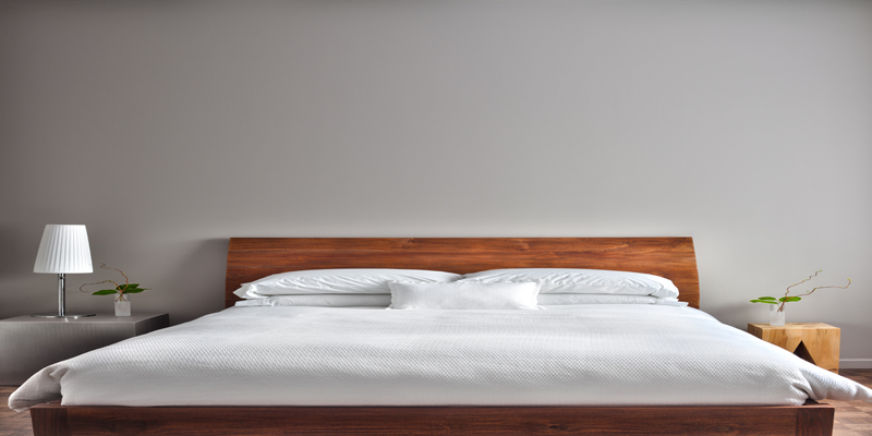 You are currently viewing Part II Answers to Common Bedbugs Question