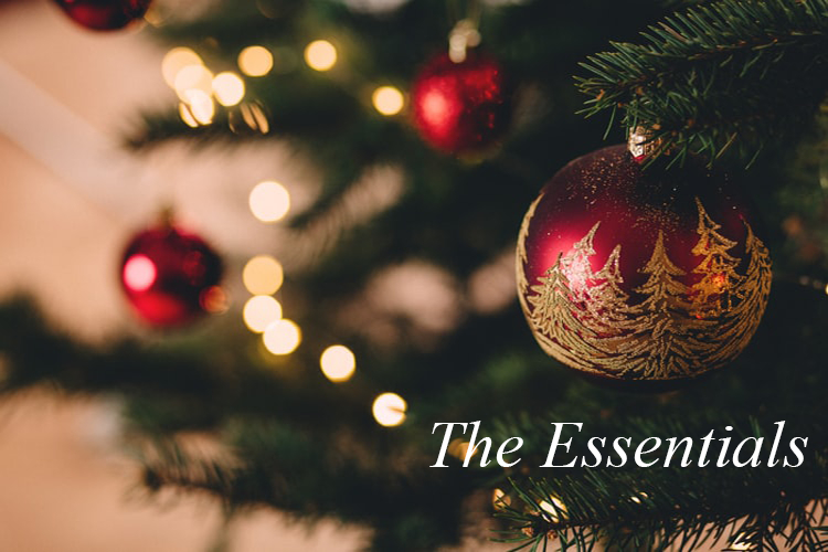 You are currently viewing Cleaning for the Holidays (Part I)